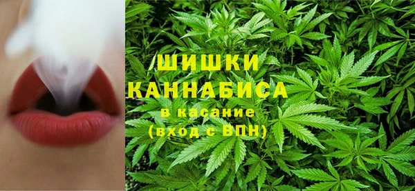 шишки Абинск