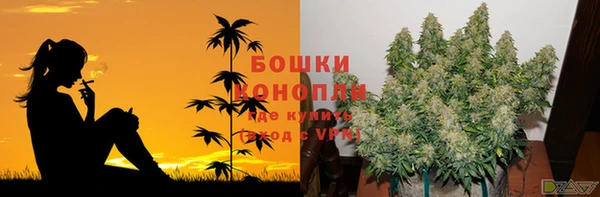 шишки Абинск