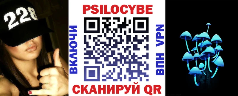 omg зеркало  Холм  Галлюциногенные грибы Psilocybe 
